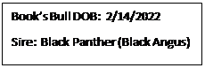 Text Box: Books Bull DOB:  2/14/2022
Sire:  Black Panther (Black Angus)
