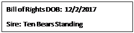 Text Box: Bill of Rights DOB:  12/2/2017
Sire:  Ten Bears Standing
