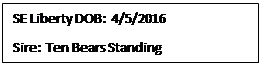 Text Box: SE Liberty DOB:  4/5/2016
Sire:  Ten Bears Standing
