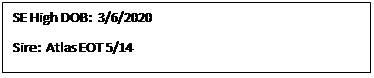 Text Box: SE High DOB:  3/6/2020
Sire:  Atlas EOT 5/14
