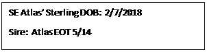 Text Box: SE Atlas Sterling DOB:  2/7/2018
Sire:  Atlas EOT 5/14
